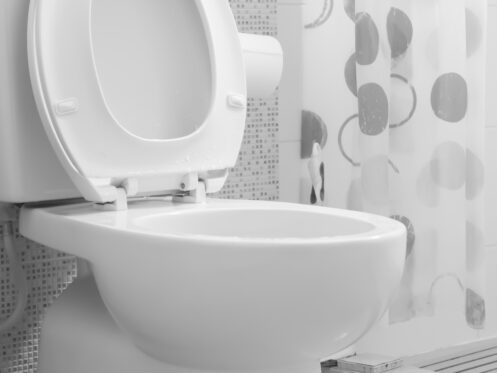 11 Reasons to Consider Eco-Friendly Toilets For Your Home